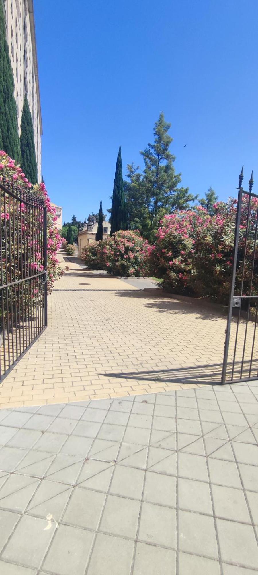 赫雷斯Cuatro Caminos Centro Jerez公寓 外观 照片